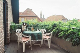 Schneevoigt Appartementhaus