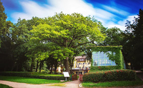 Kurhaus am Inselsee