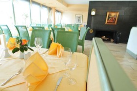 Villa am Rhein