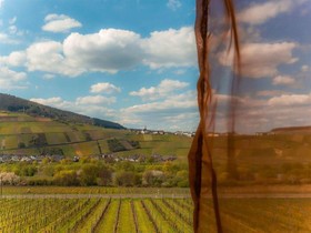 Weingut-Pension Tiliahof