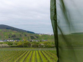 Weingut-Pension Tiliahof