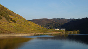 Winzerhotel zum Moselstrand
