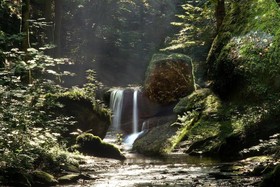 Peifer’s Moselhotel