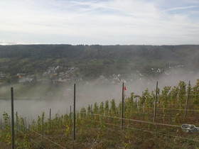 Ferienwohnung-Vinothek Keifer Kinheim