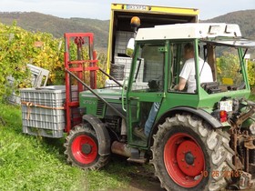 Ferienwohnung-Vinothek Keifer Kinheim
