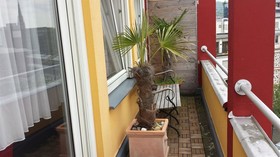 Continental Pfälzer Hof