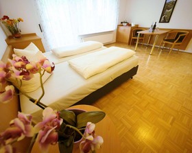 Mosel Hotel Hähn