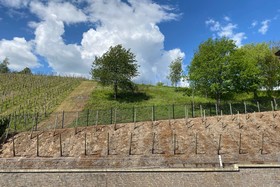 Schloss Lieser