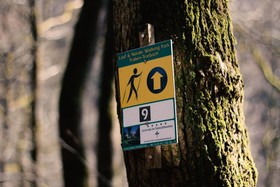 Acron Traben-Trarbach