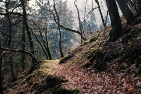 Acron Traben-Trarbach