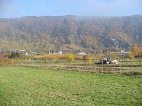 Landhotel Wolfshof