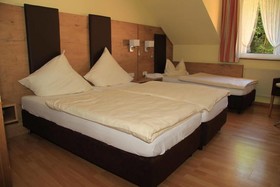Waldhotel Landgasthof Albachmühle