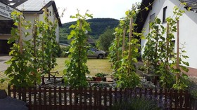 Hotel Pension Wendland
