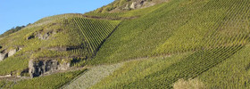 Weingut Heinrichshof