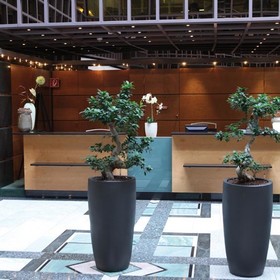 Lindner Hotel Düsseldorf Seestern