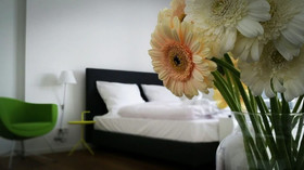 Domapartment Aachen City