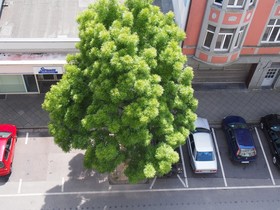 Domapartment Aachen City