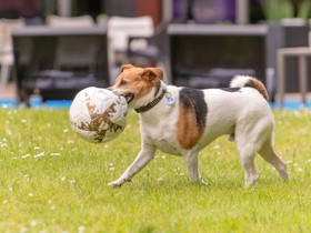 Mercure Hotel Aachen Europaplatz