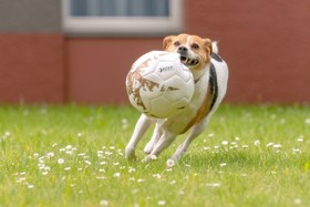 Mercure Hotel Aachen Europaplatz