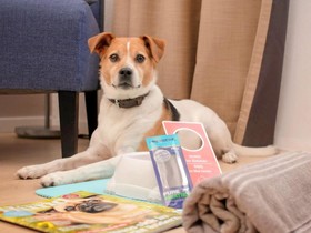 Mercure Hotel Aachen Europaplatz