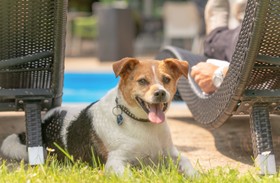 Mercure Hotel Aachen Europaplatz