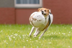 Mercure Hotel Aachen Europaplatz