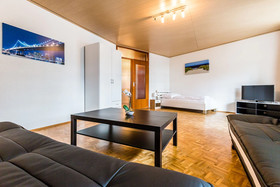 Little Manhatten Apartments