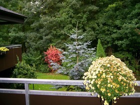 Waldpension Brake