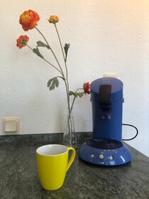 Apartmenthaus Somborn
