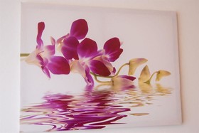 Petul Aparthotel Am Ruhrbogen