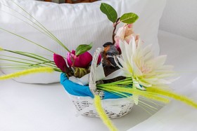 SMARTY Cologne Dom Hotel - Boardinghouse