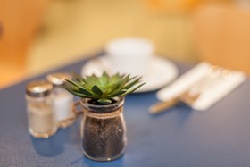 Select Hotel Silence Garden Köln