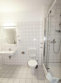 Alt Graz