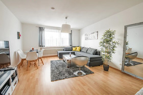 Deluxe Downtown Apartment