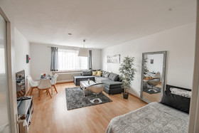 Deluxe Downtown Apartment