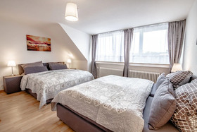 Deluxe Downtown Apartment