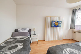 Deluxe Downtown Apartment