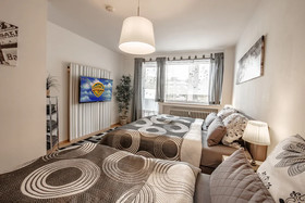 Deluxe Downtown Apartment