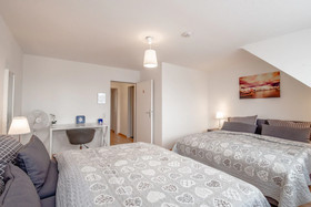 Deluxe Downtown Apartment