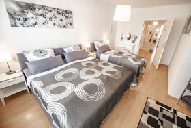 Deluxe Downtown Apartment