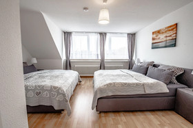 Deluxe Downtown Apartment