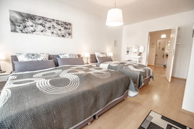 Deluxe Downtown Apartment
