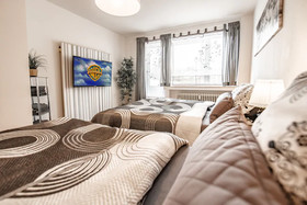 Deluxe Downtown Apartment