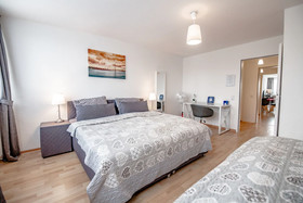 Deluxe Downtown Apartment