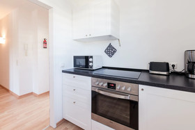 Deluxe Downtown Apartment