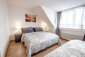Deluxe Downtown Apartment