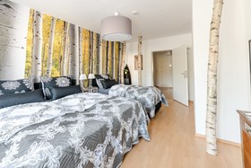 Deluxe Downtown Apartment