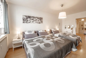 Deluxe Downtown Apartment