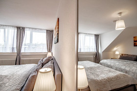 Deluxe Downtown Apartment