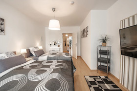 Deluxe Downtown Apartment